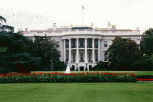 whitehouse 300x200 The Roundup: Week of January 23rd 2009